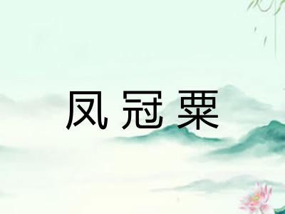 凤冠粟