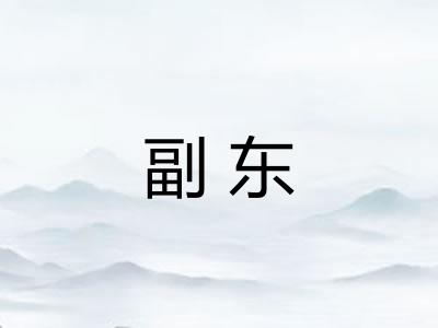 副东