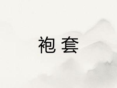 袍套 袍套
