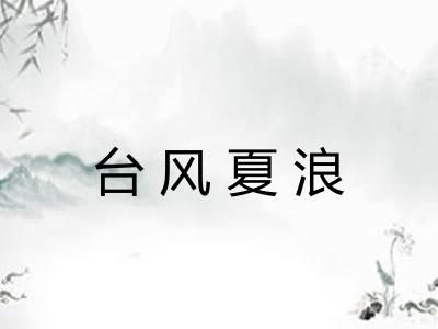 台风夏浪