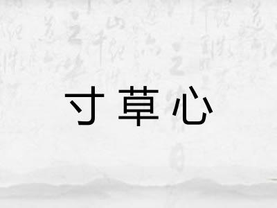 寸草心 寸草心