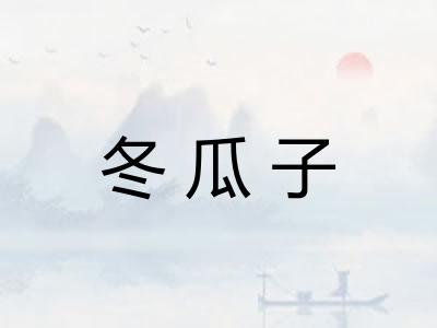 冬瓜子 冬瓜子