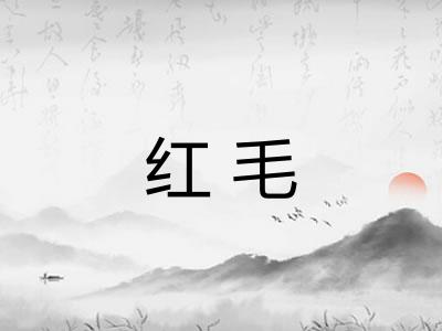 红毛 红毛