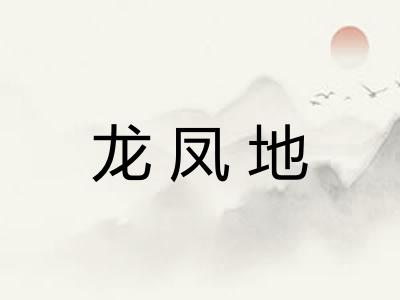 龙凤地 龙凤地