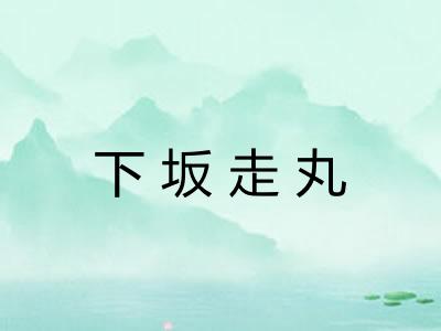 下坂走丸 下坂走丸