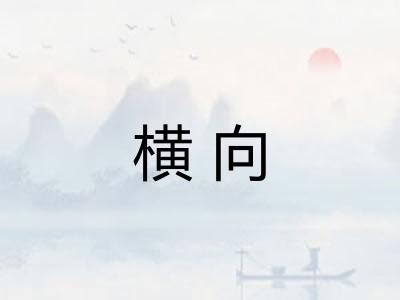 横向