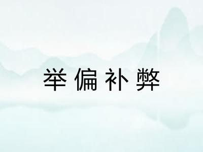 举偏补弊