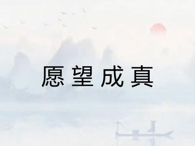 愿望成真 愿望成真