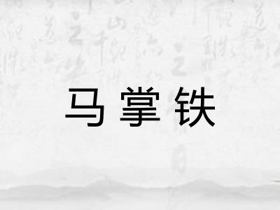 马掌铁