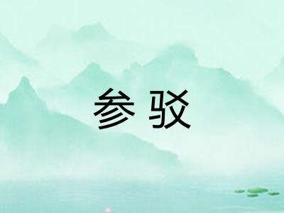 参驳