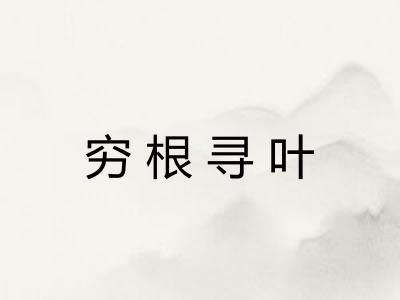 穷根寻叶