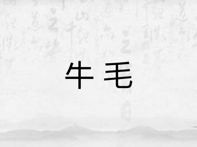 牛毛