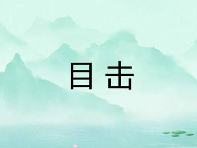 目击