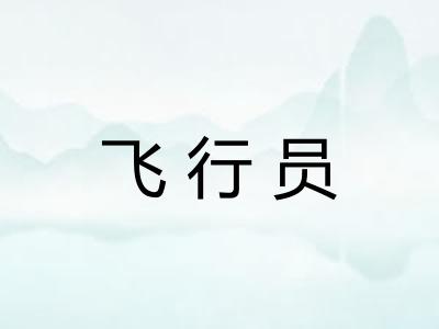 飞行员 飞行员