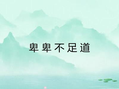 卑卑不足道