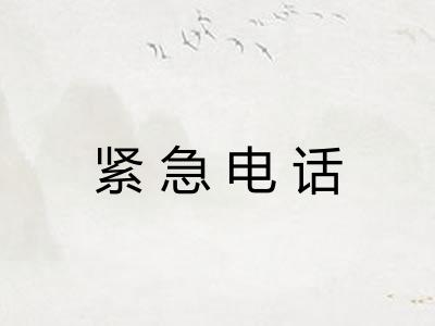 紧急电话