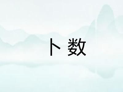 卜数