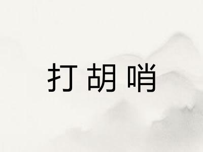 打胡哨