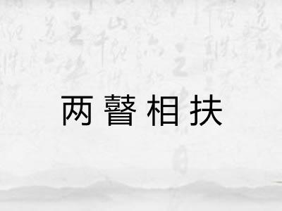 两瞽相扶