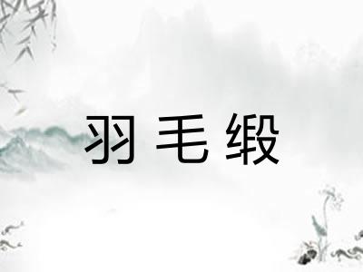 羽毛缎 羽毛缎