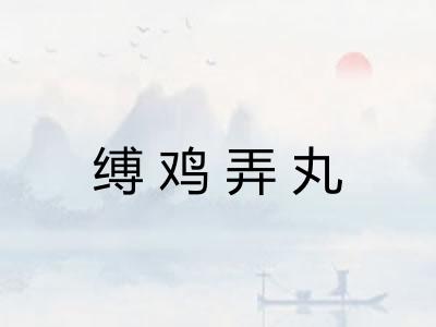缚鸡弄丸