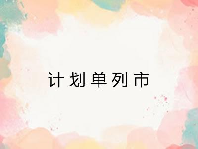 计划单列市