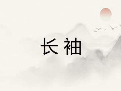 长袖 长袖