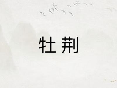 牡荆