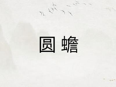 圆蟾