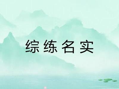 综练名实 综练名实
