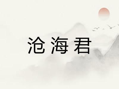 沧海君