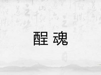酲魂