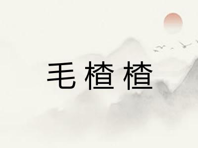 毛楂楂