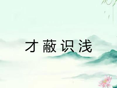 才蔽识浅