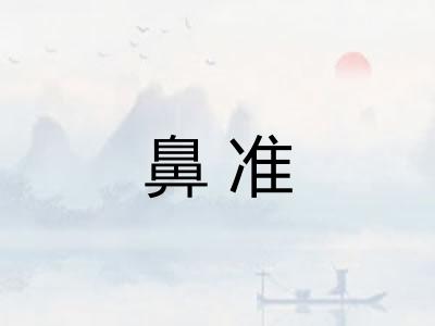 鼻准