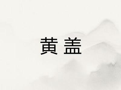 黄盖 黄盖