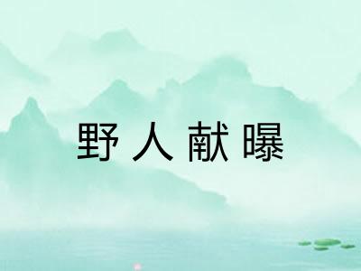 野人献曝