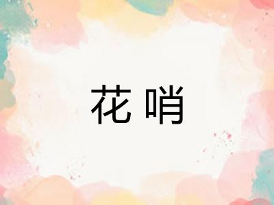 花哨
