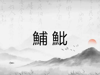 鯆魮