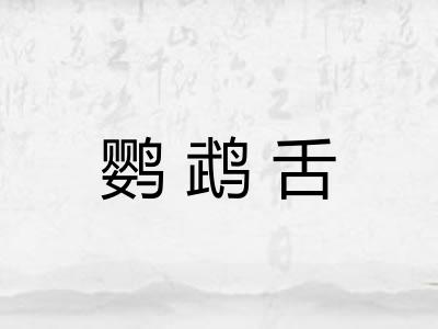 鹦鹉舌 鹦鹉舌
