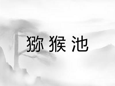 猕猴池 猕猴池