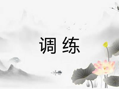 调练 调练