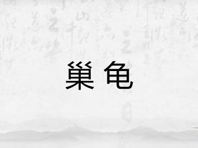 巢龟