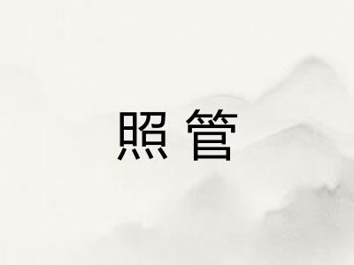 照管
