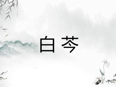 白芩