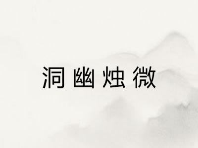 洞幽烛微
