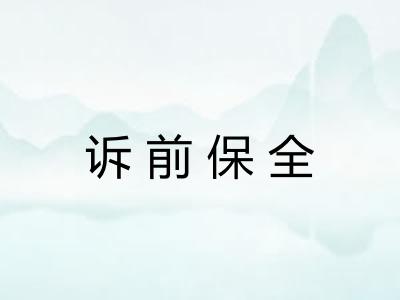 诉前保全