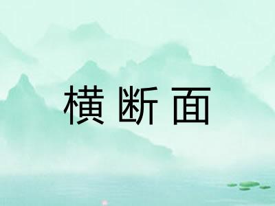 横断面