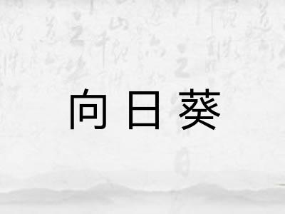 向日葵