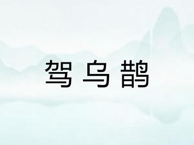 驾乌鹊